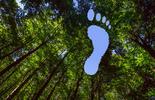 Carbon Footprint Trainings