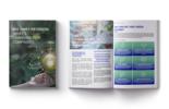 Vorschau Englischsprachiges Whitepaper ISO 14001-Revision