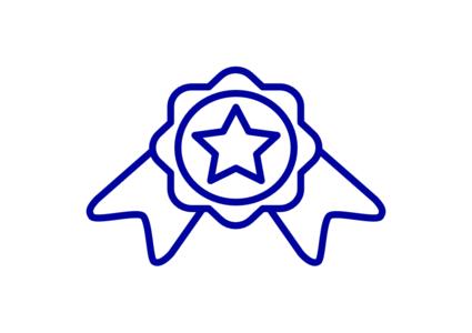 Icon-Darstellung einer Medaille mit Stern in der Mitte
