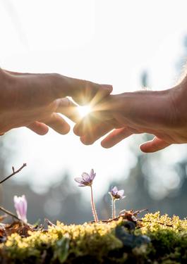 Umweltbilanz verbessern