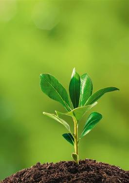 Trainings & Seminare im Bereich Nachhaltigkeit 