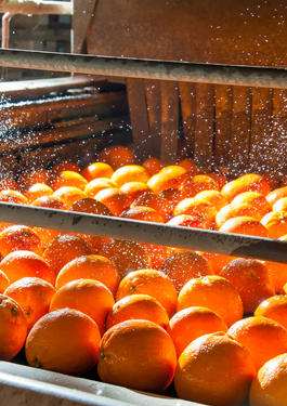 FSSC 22000 Zertifizierung