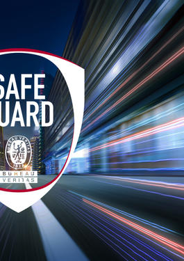Safeguard_BV