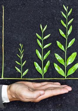 Soziale & ethische Unternehmensführung