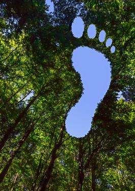 Carbon Footprint Trainings