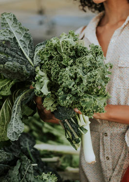 Services für den Handel