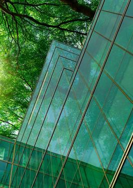 Blick von unten auf die gläserne Fassade eines Gebäudes, die grün schimmert. Direkt daneben ist eine Baumkrone zu sehen.