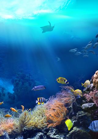 Shaping a better Maritime world