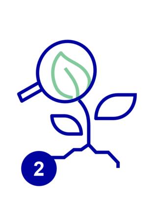 Icon Environmental Due Diligence Vorgehen Phase 2