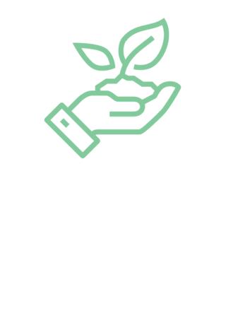 Icon-Darstellung einer Hand, die einen Sprößling einer Pflanze hält.