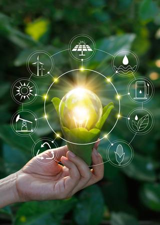 Eine Hand hält eine Glühbirne. Um diese herum sind verschiedene Icons abgebildet. Im Hintergrund sind Büsche zu sehen.