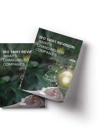 Englischsprachiges Whitepaper zur ISO 14001-Revision